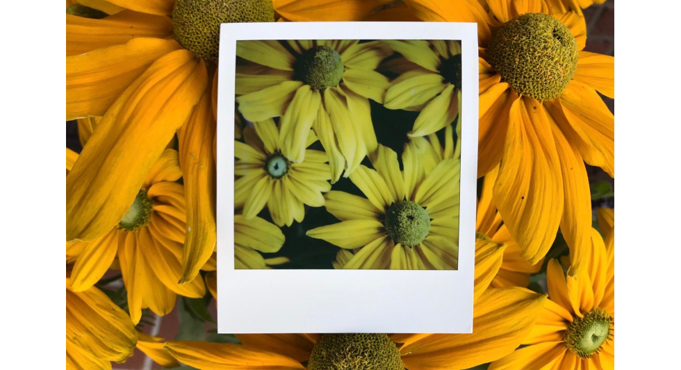 Aufnahme mit einer SX70 Kamera    © Fabian Groth