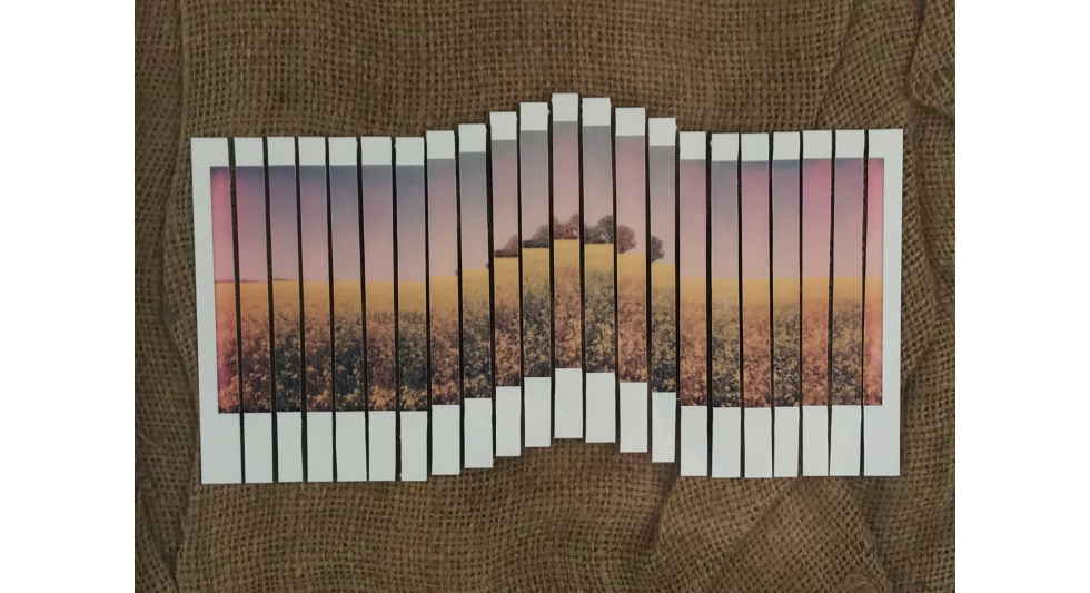 Rapsfeld, Polaroid Spectra, Collage © Fabian Groth