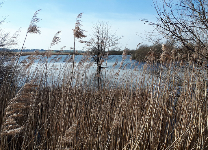 siebendorfer-moor © ADFC-Schwerin
