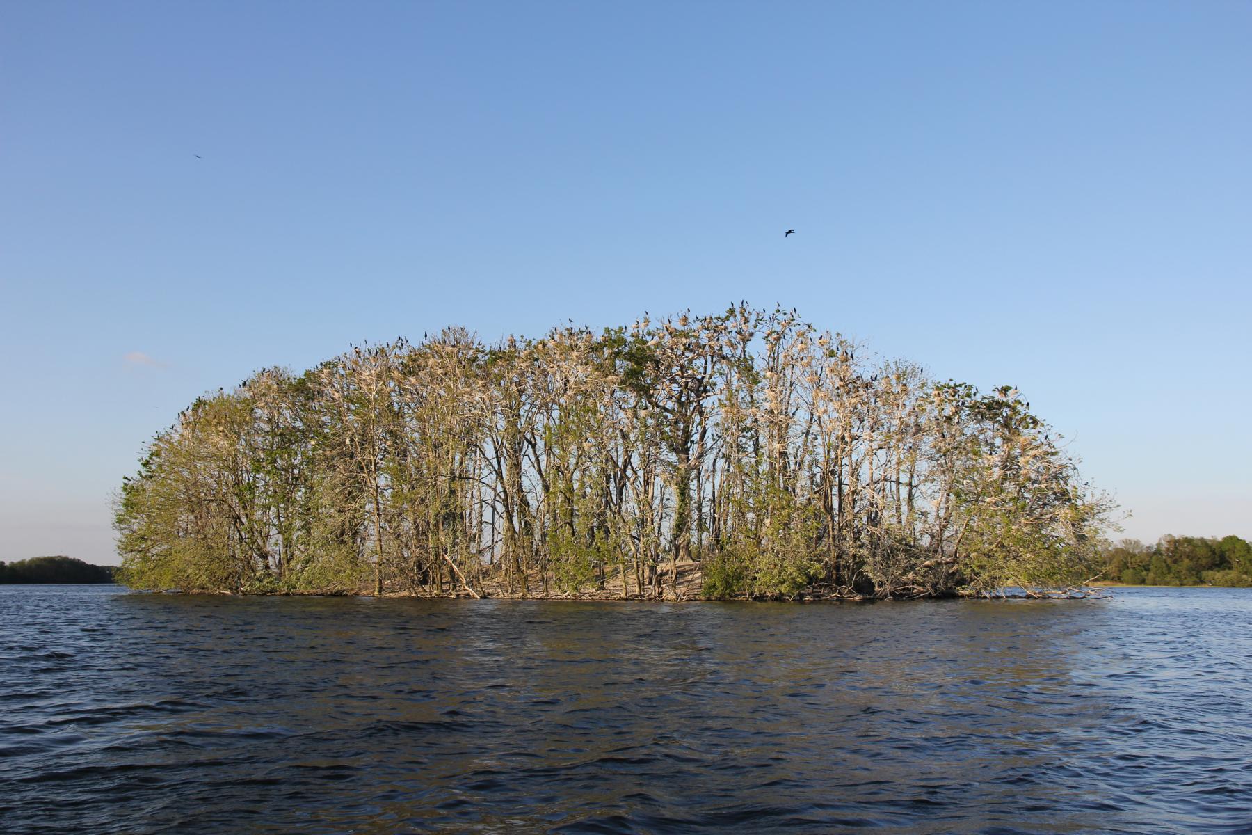 Entdeckungstouren „Inselwelt Krakower Obersee“