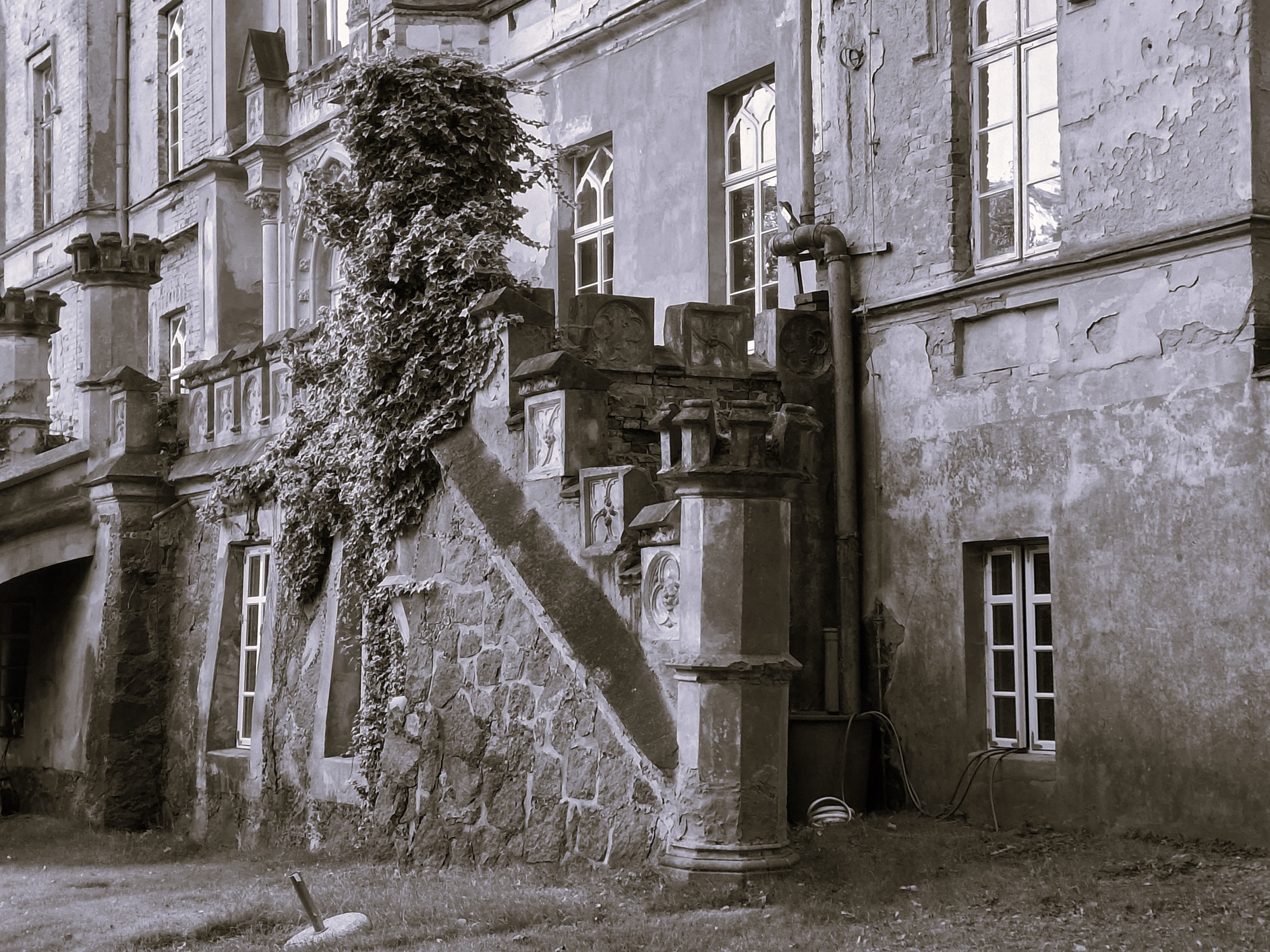 Scientia mortuorum – Von der Wissenschaft der Toten Vol. VI.