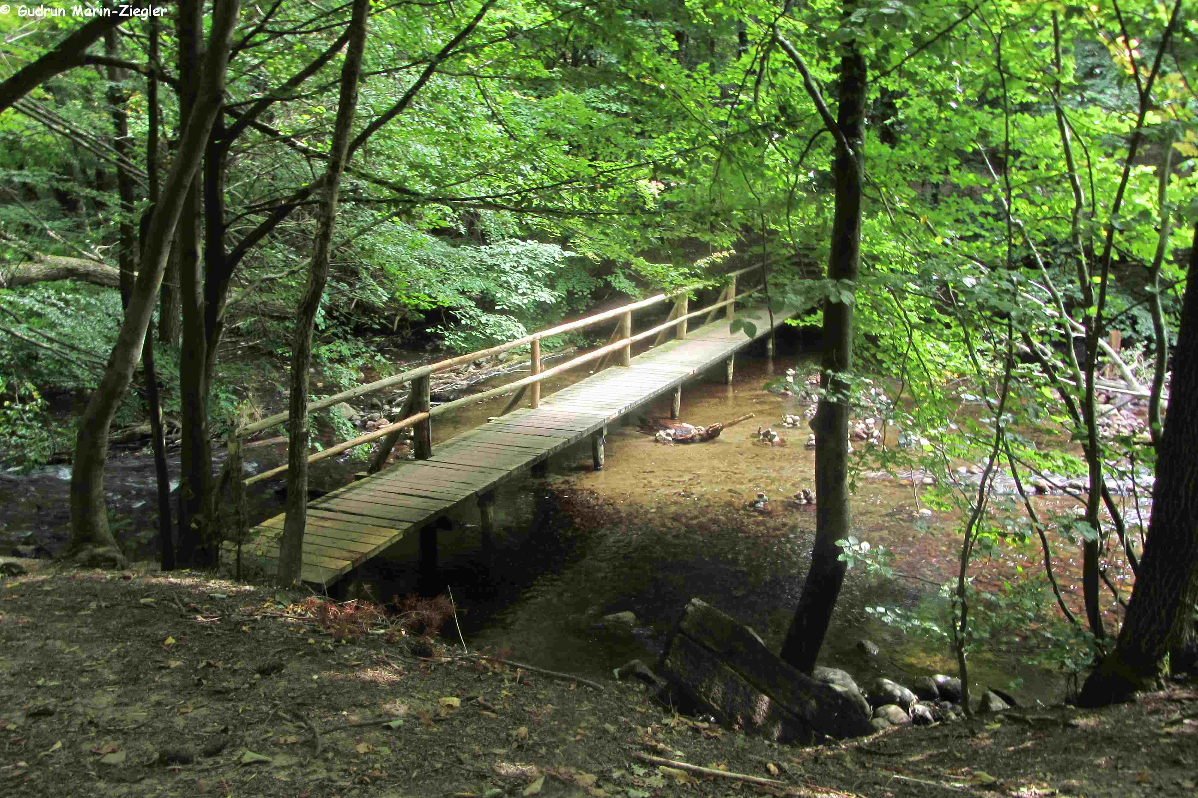 Sagenhafte Radtour