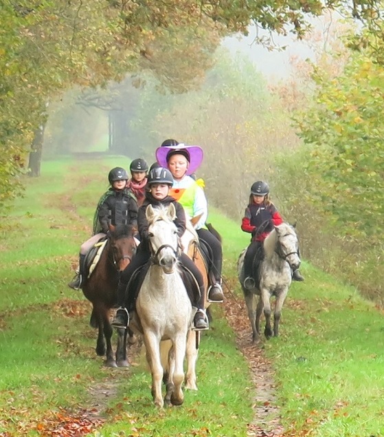 Horseback riding Baltic Sea landscape