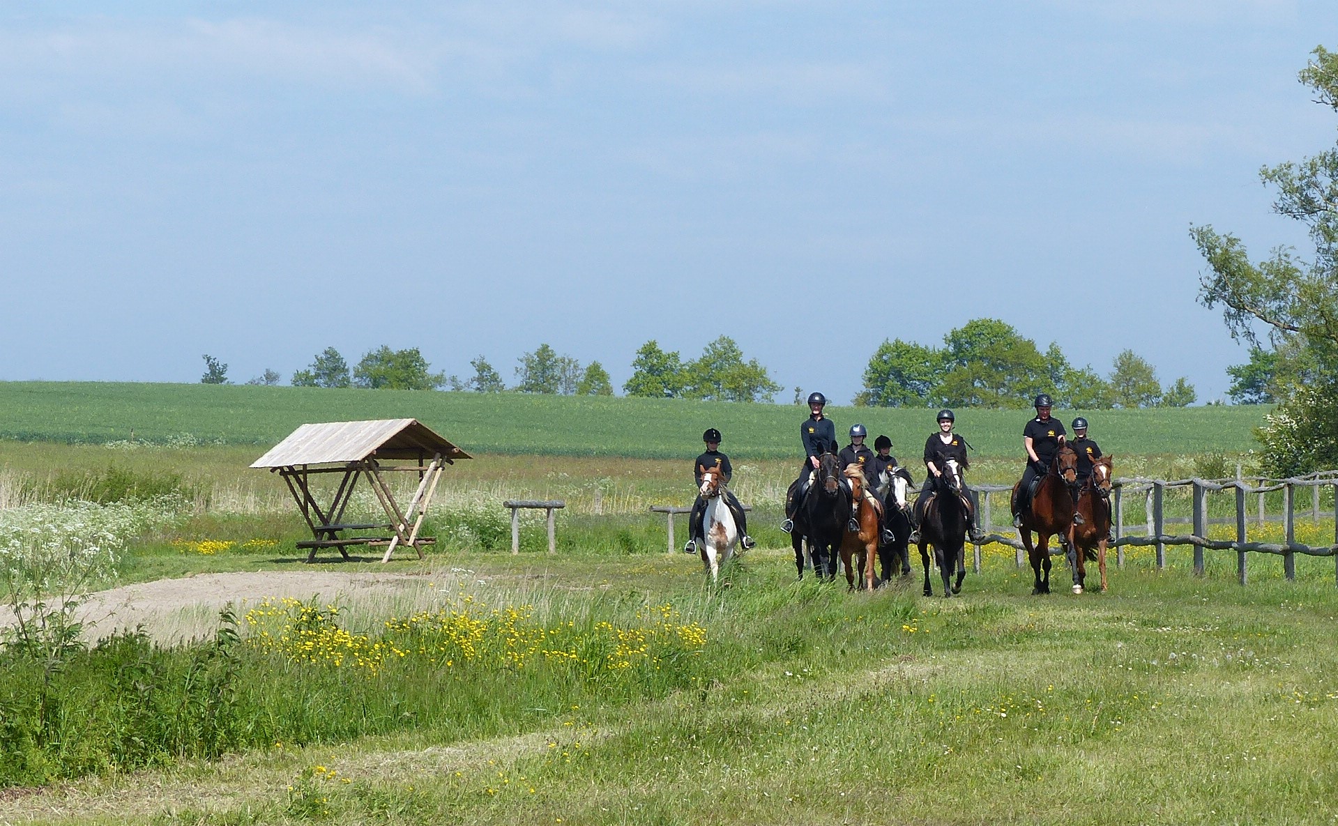 Ride_Ostseelagune_5