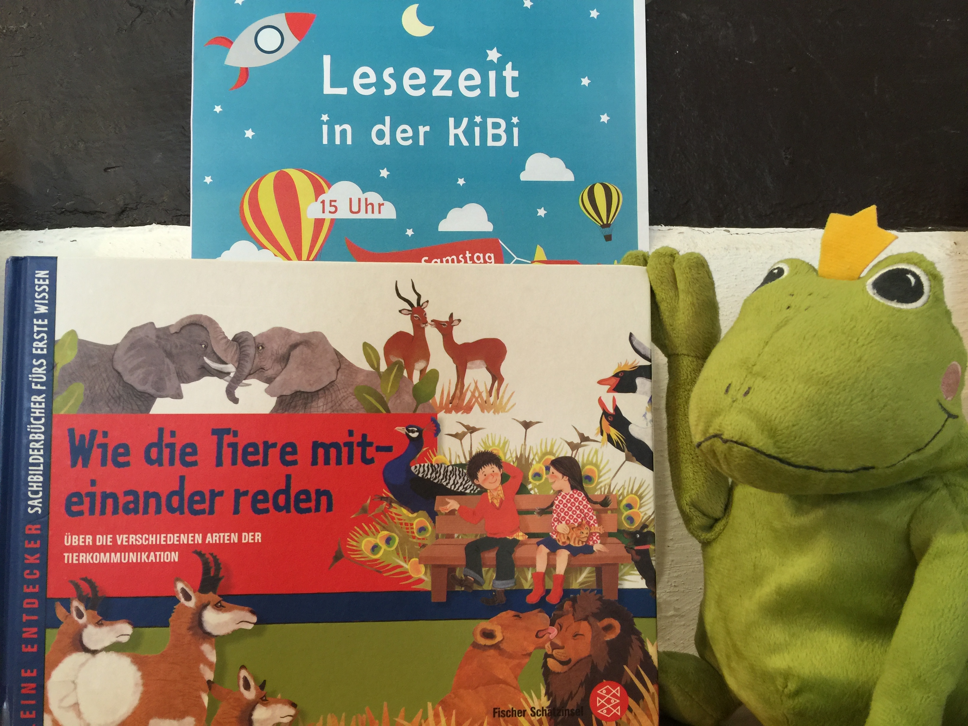 Bibo Lesezeit