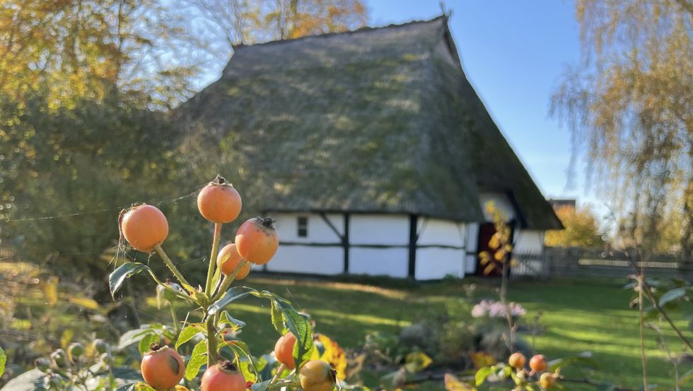 Kunstkaten Völkshagen im Freilichtmuseum Klockenhagen