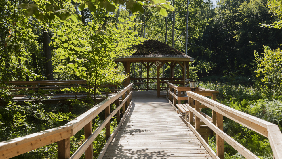 Kurwald im Ostseeheilbad Graal-Müritz