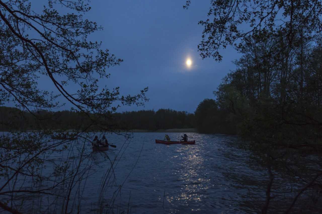 Paddeln und Picknick im Mondenschein – ein ganz besonderes Nachterlebnis auf dem Goldberger See