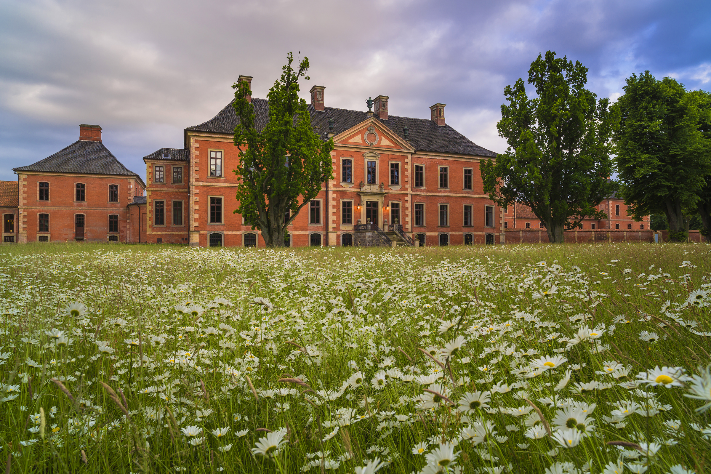 Schloss Bothmer mit Blumenwiese im Frühling © SSGK MV / Timm Allrich