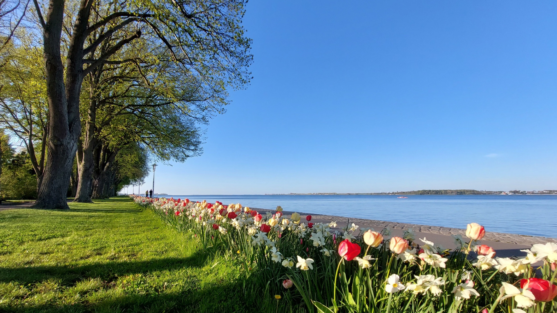 Sundpromenade at the Strelasund