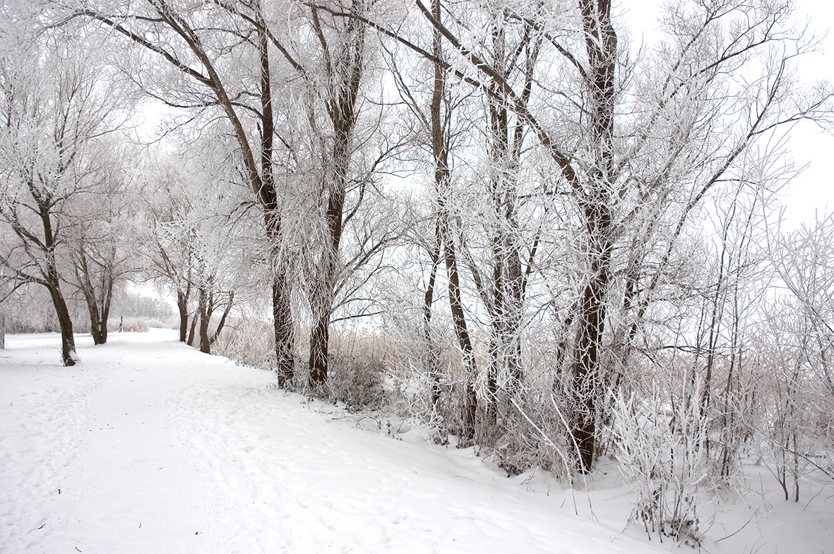 Winter mood