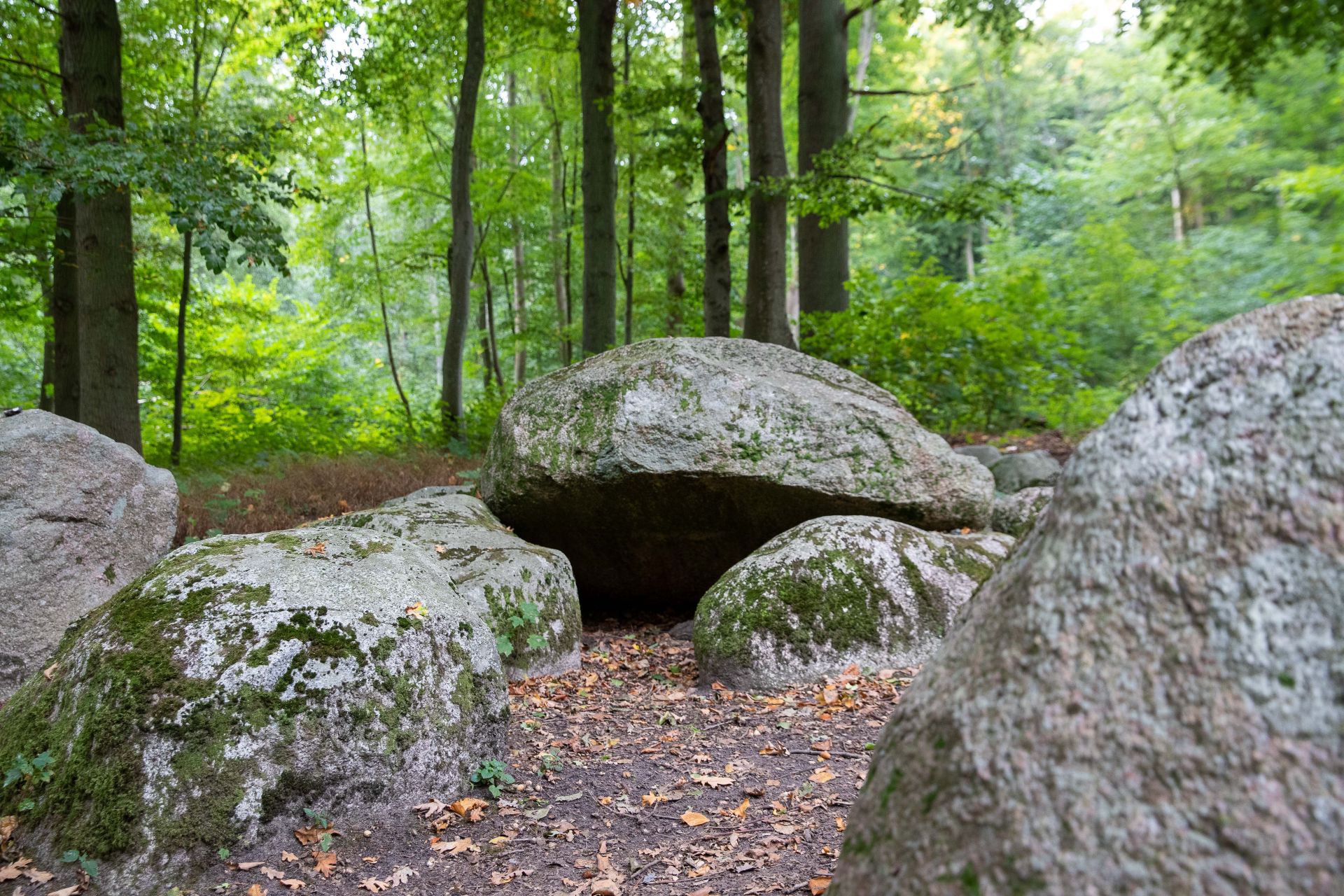WO DIE TOTEN WOHNEN - Jenseitsvorstellungen der Ranen im Spiegel archäologischer Funde*
