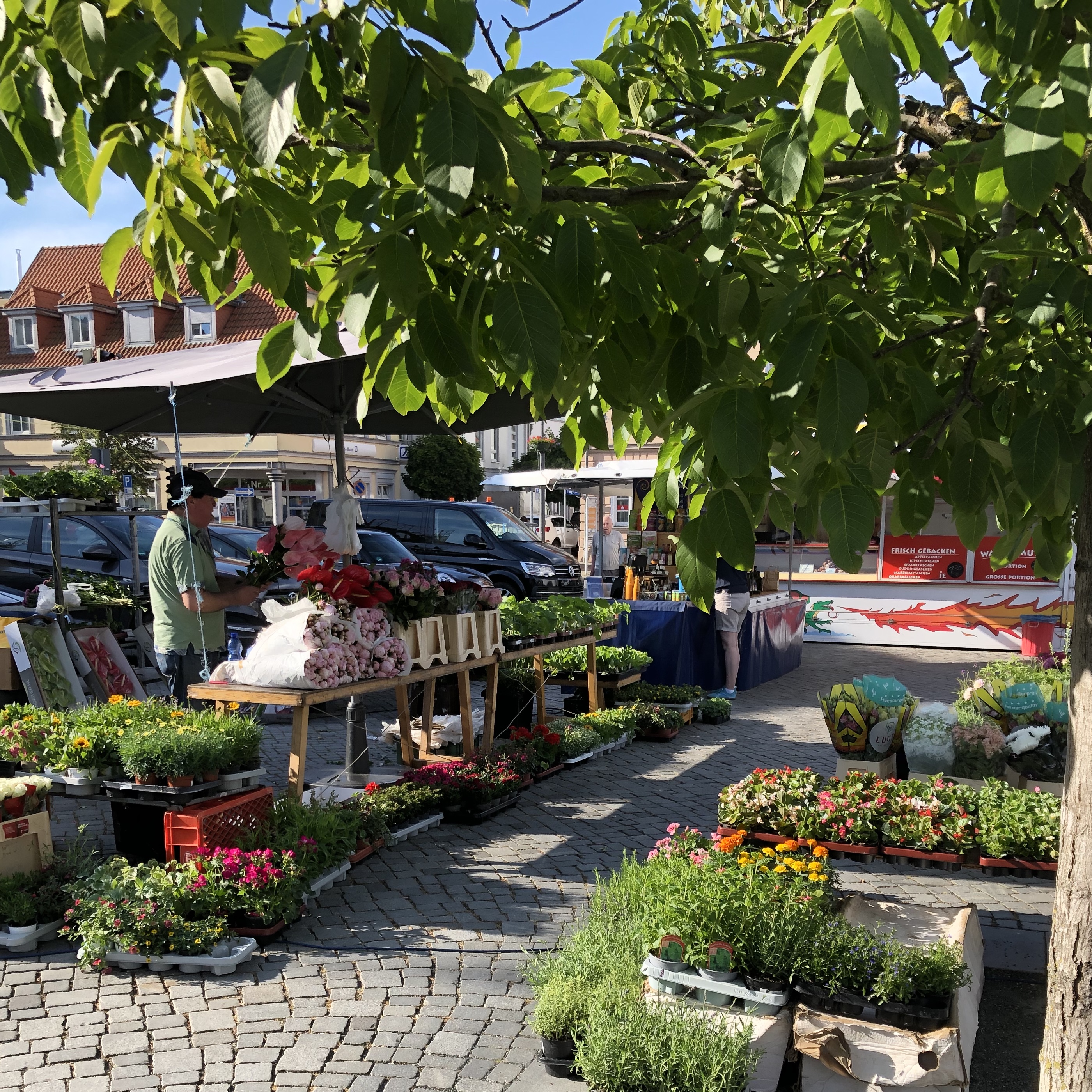 Wochenmarkt-Ribnitz