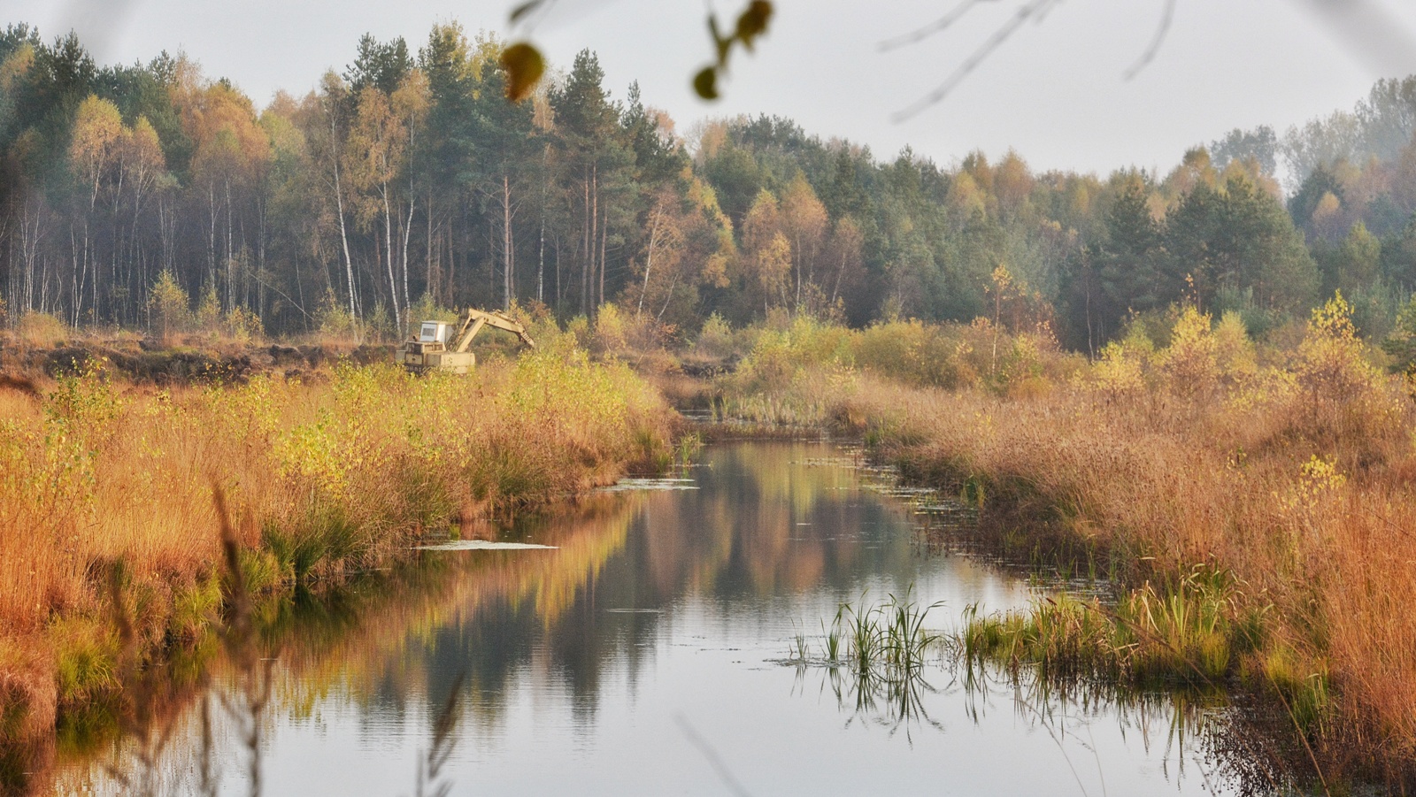 Grambower Moor - Herbst © Tourismusverband Mecklenburg-Schwerin