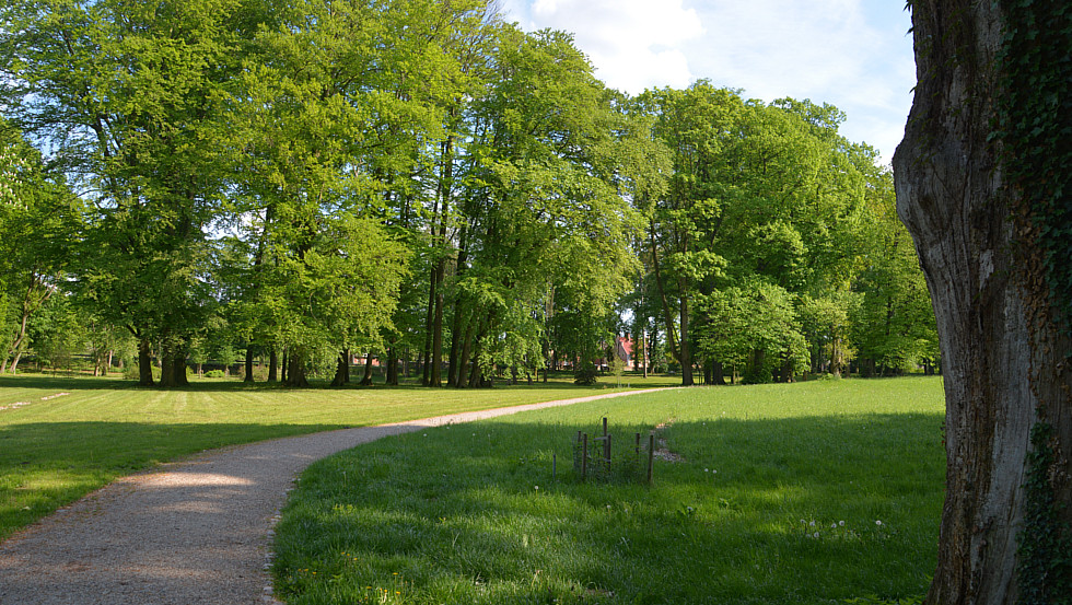 Blick in den Landschaftspark © Tourismusverband Mecklenburg-Schwerin