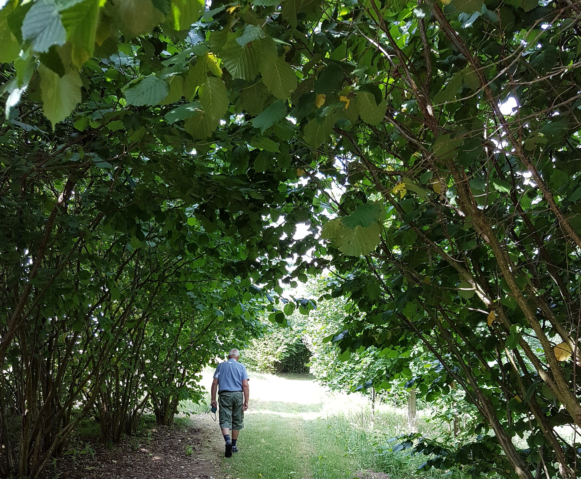 Wanderweg zum Arboretum © Lewitz e.V. 