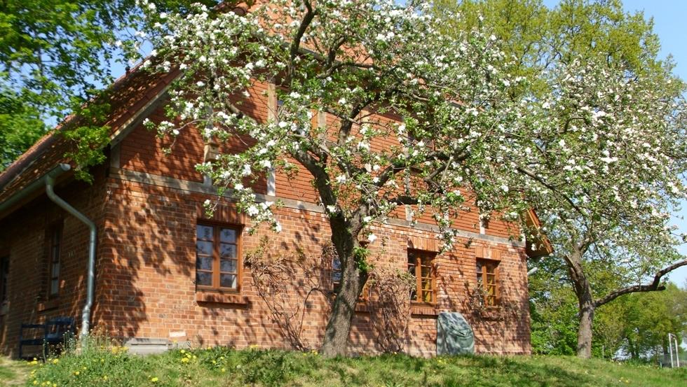 Nicht nur zur Apfelblüte lädt der Hof zum Verweilen ein © Archiv, Biosphärenreservatsamt Schaalsee-Elbe
