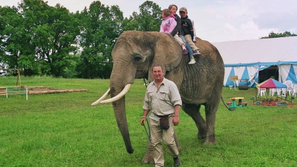 Unser Elefantenhof in Platschow ein Erlebnis für die ganze Familie © Elefantenhof Platschow