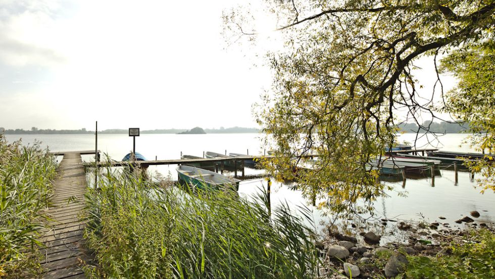 Lassen Sie sich im Restaurant verwöhnen und genießen Sie den Blick auf das Wasser © Fischhaus am Schaalsee