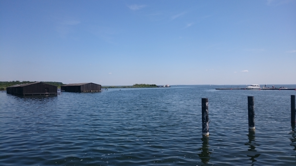 Hafen Sietow