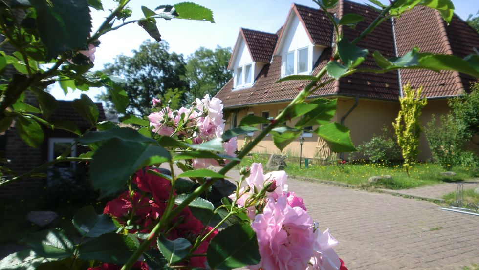 Buch und Kunst auf der „Insel“ Literaturien