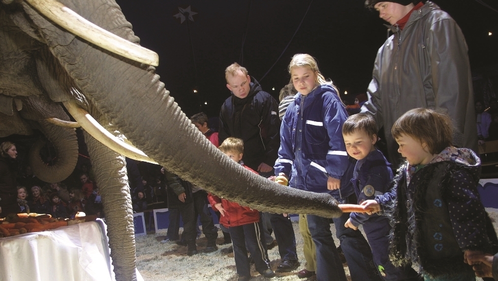Kinder füttern unsere Riesen © Elefantenhof Platschow