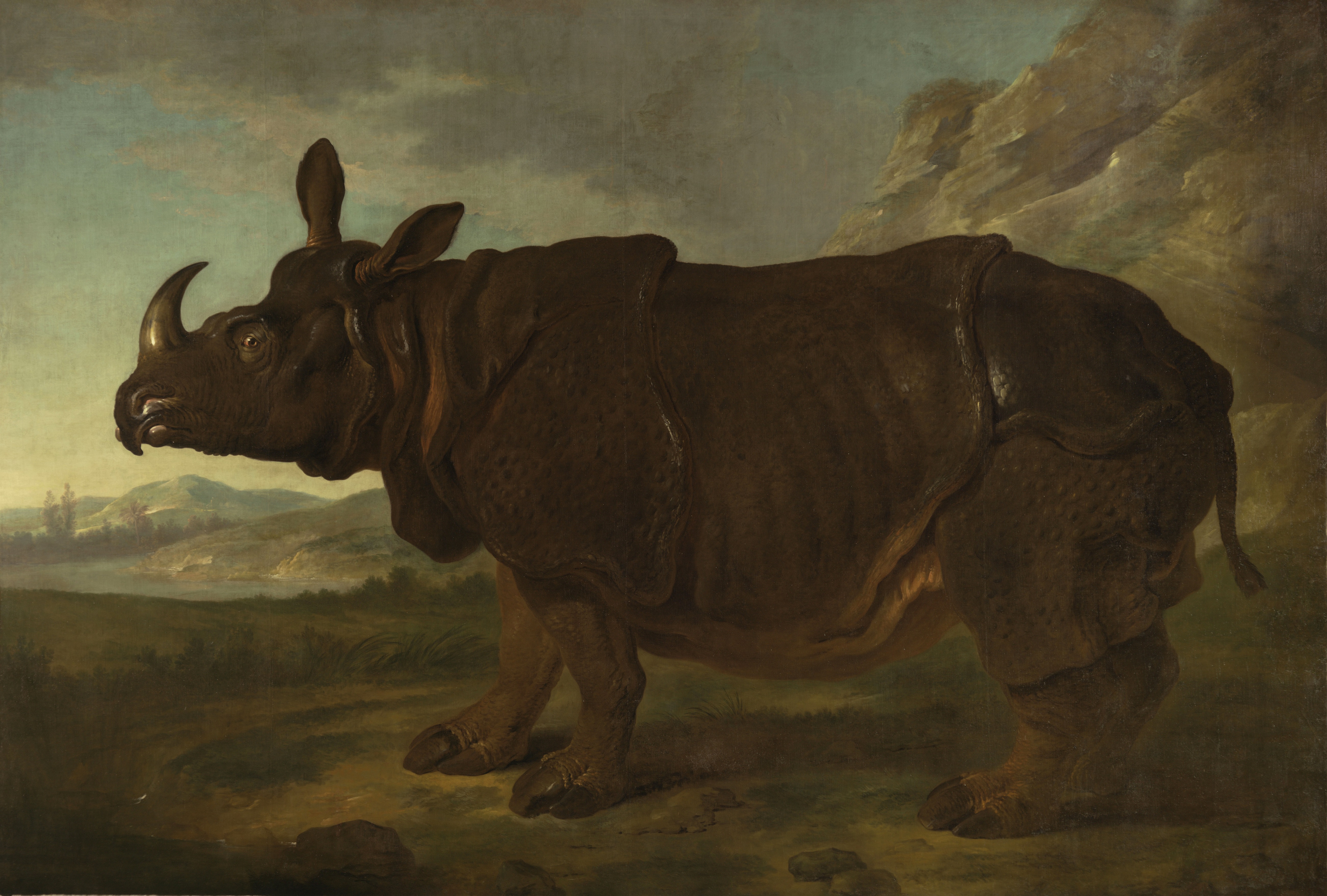 Jean Baptiste Oudrys Rhinozeros © Foto: G. Bröcker, Staatliches Museum Schwerin