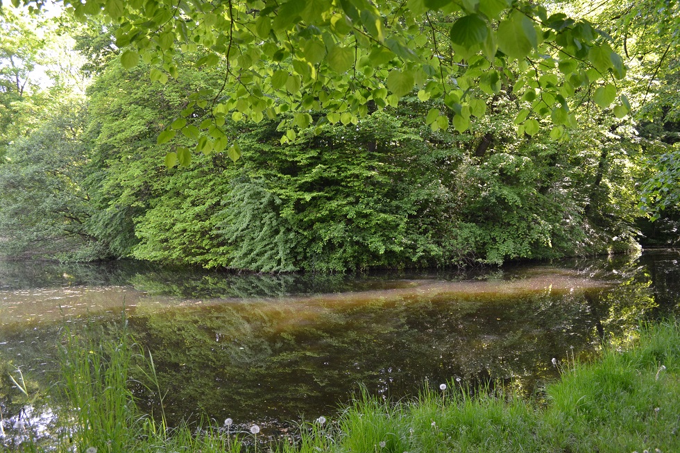 Turmhügel Pantlitz