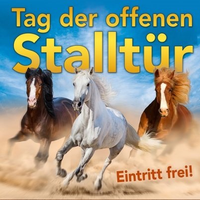 day of the open stable door