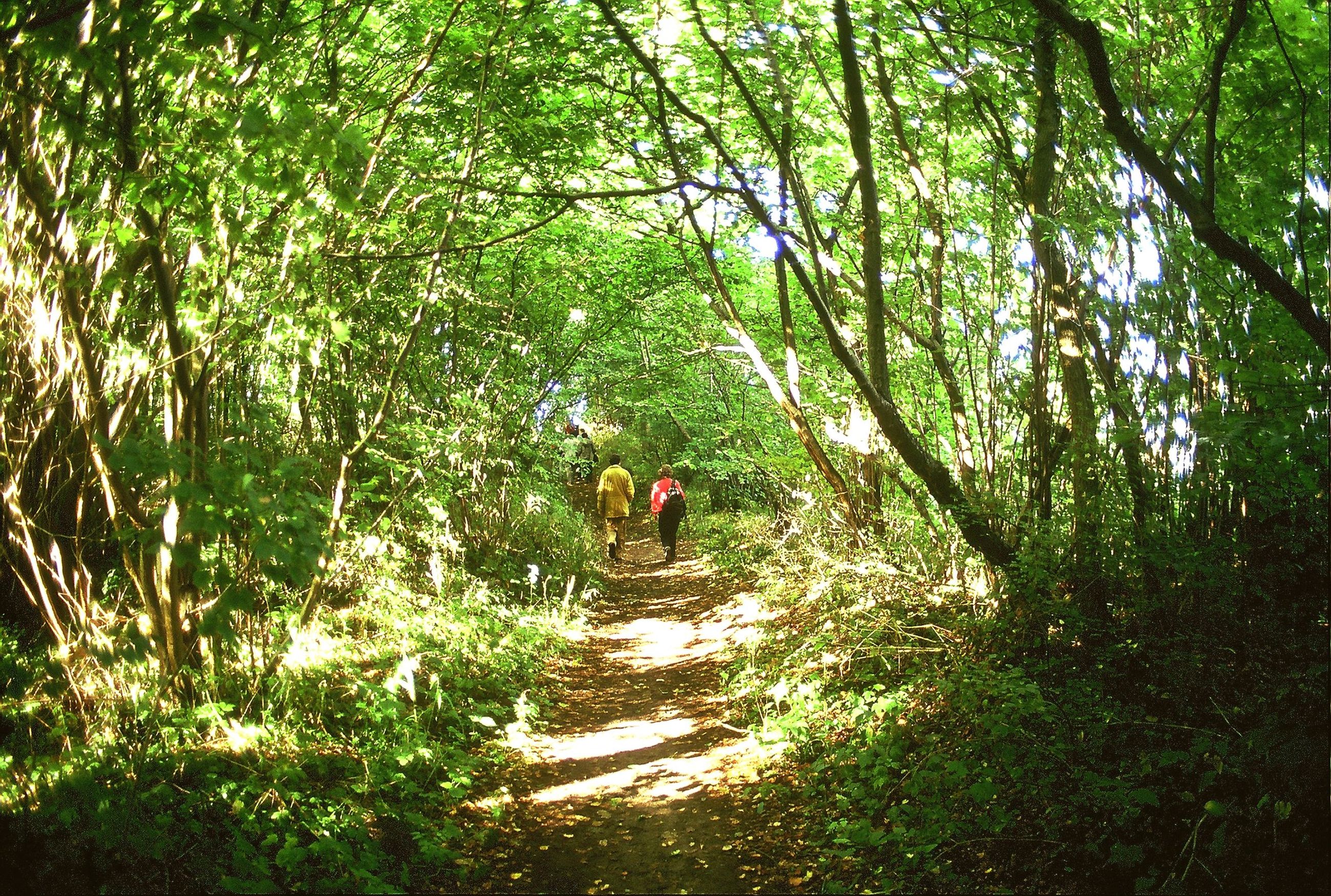 Rangerwanderung um das Göhrener Nordperd
