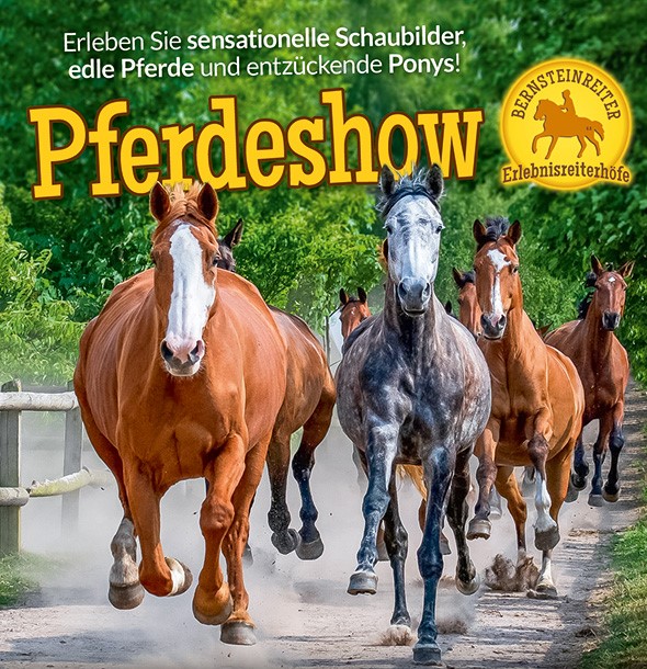 pferdeshow-vorn_titelbild