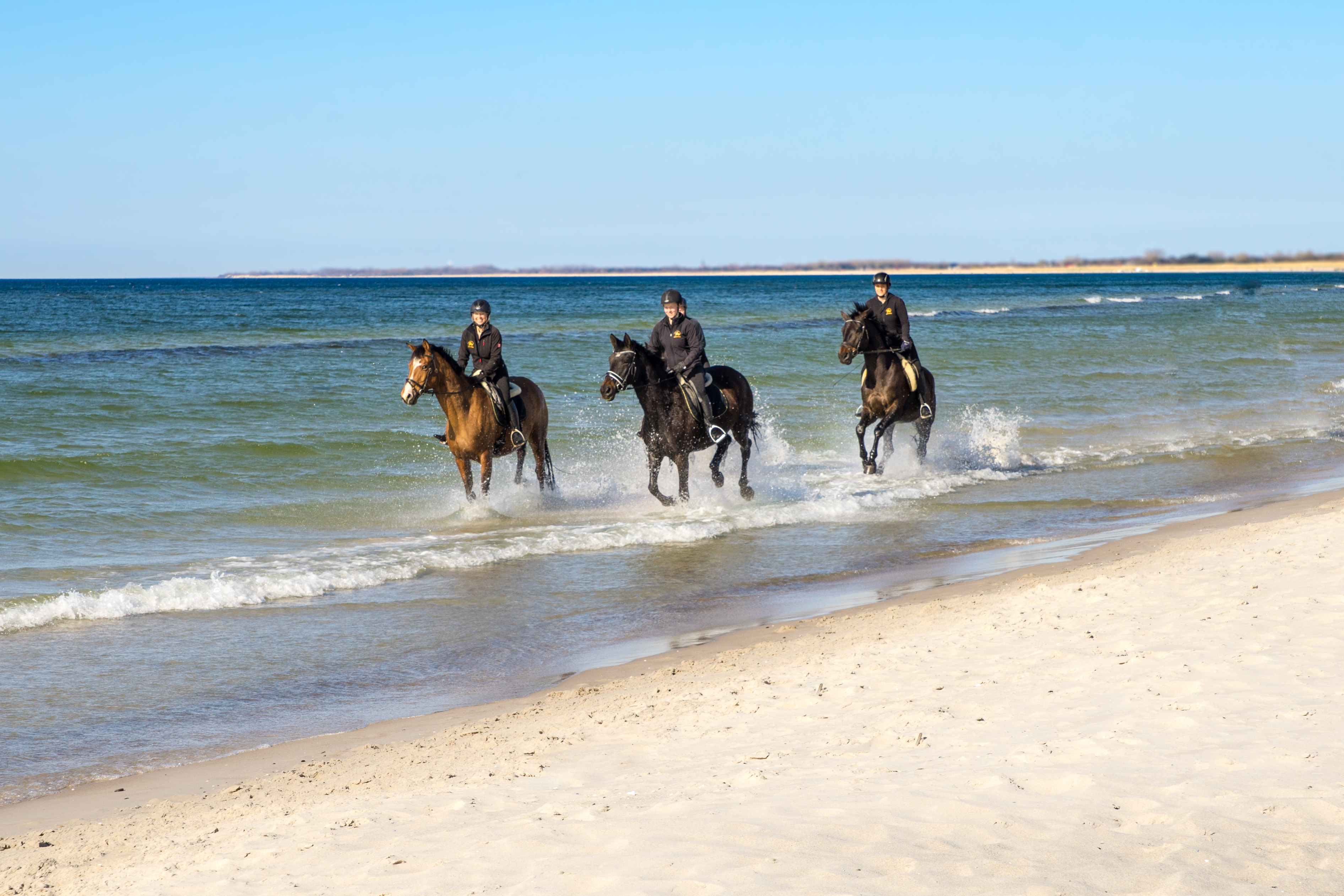 strandritt_trakehner_2
